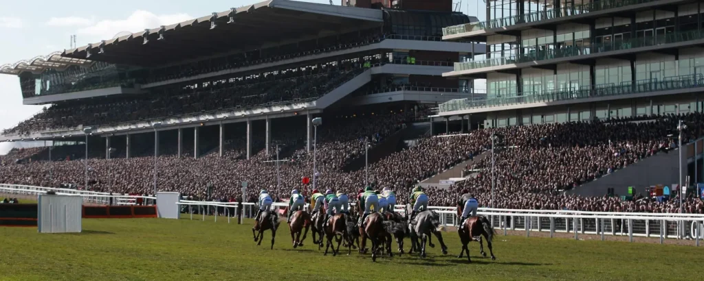 Cheltenham Festival Hospitality